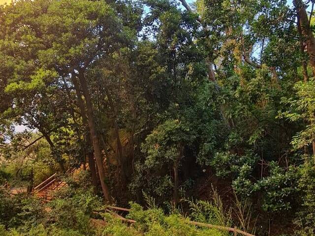 Vista para a APP - Apartamento a venda 3 Dormitórios Condomí